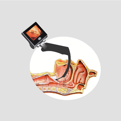 Laringoscopio video flexible de acero inoxidable USB 32GB de 316 Haiye